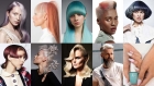 BREAKING NEWS! WELLA PROFESSIONALS ANUNTA CASTIGATORII INTERNATIONAL TRENDS AWARDS 2020. ROMANIA ESTE PE PODIUM!